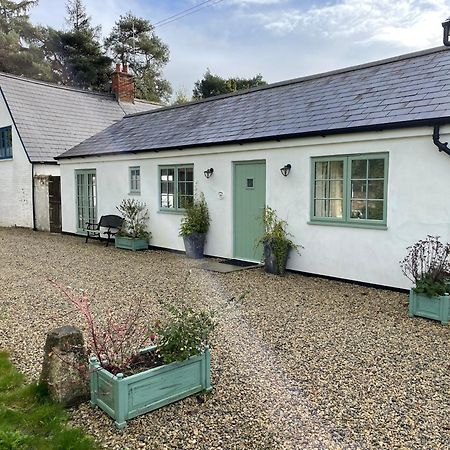 Cottages at Woodlands, Grooms Cottage Wareham Exteriör bild